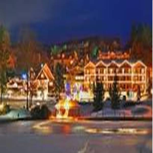 Christmas Chetola lights.jpg